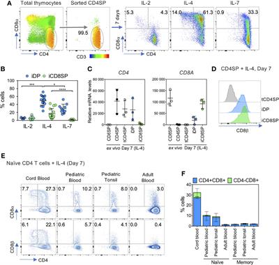 Human CD4 T Cells From Thymus and Cord Blood Are Convertible Into CD8 T Cells by IL-4